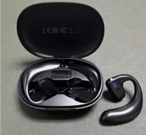 Bluetooth Smart Translation Earbuds